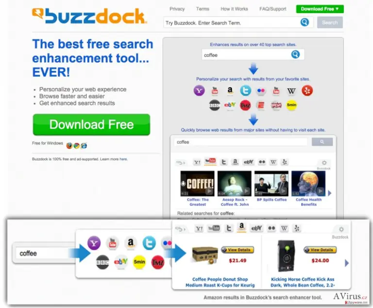 The picture showing Buzzdock PUP website