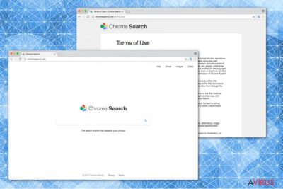 Kép a Chromesearch.net-ről