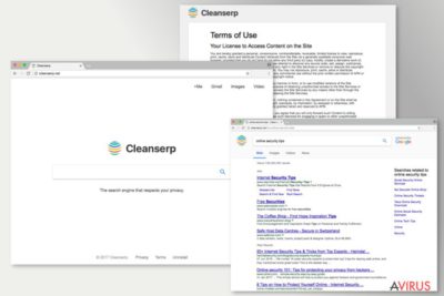 Kép a Cleanserp.net-ről