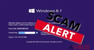 Error code: 0x00AEM001489 malware