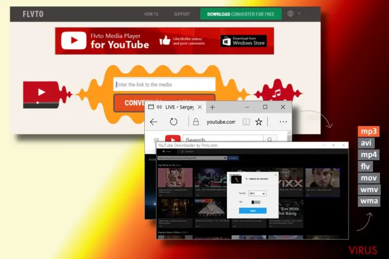 Showing Flvto Youtube Downloader virus