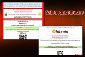 Salsa ransomware vírus