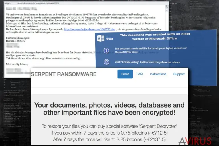 A Serpent ransomware vírus külseje