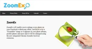 ZoomEx virus